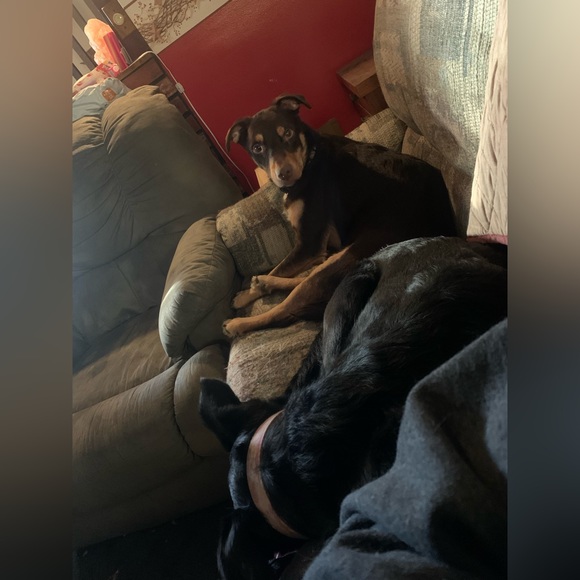 Still here! - Picture 12 of 12